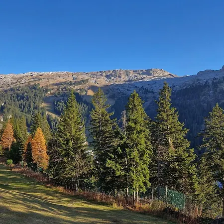 Lumineux 2 Pièces Avec à Forêt · Balcon Sud · Parking Couvert · Proche Pistes - Fr-1-425-149 Flaine